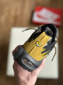 NIKE AIR MAX PLUS “Bronzine”