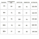 Conjunto Olympique De Marseille